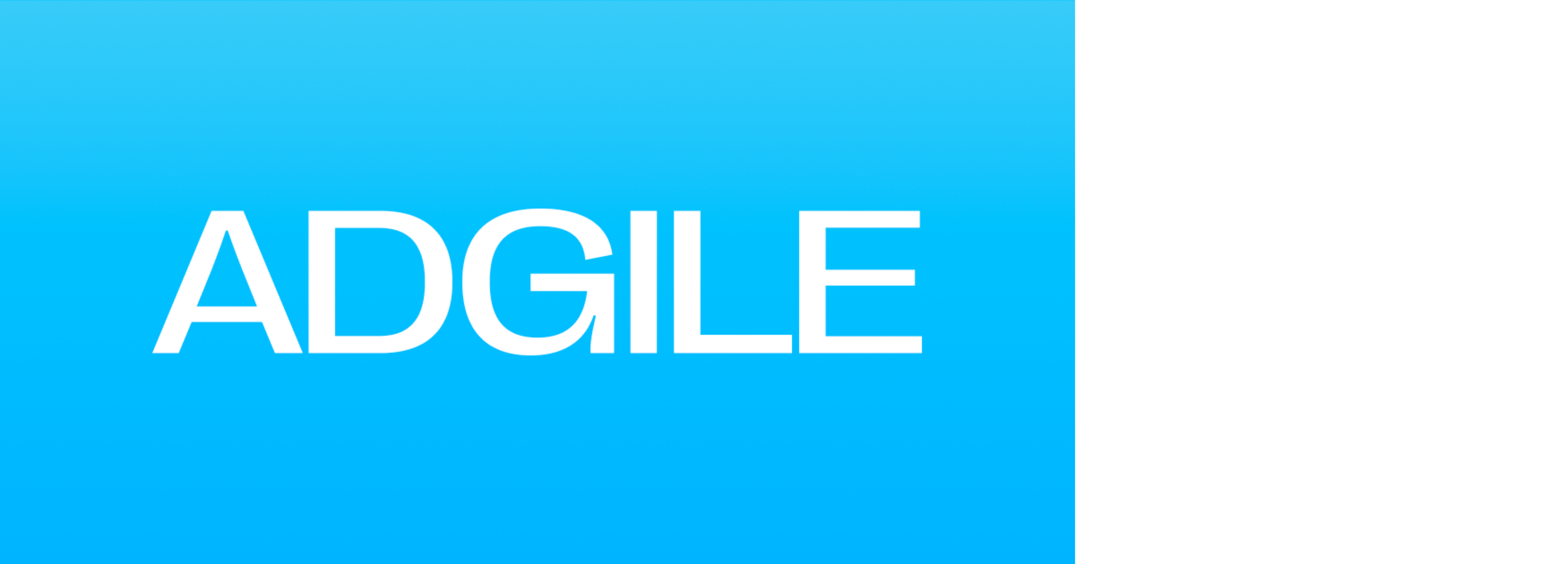 Adgile Media company logo